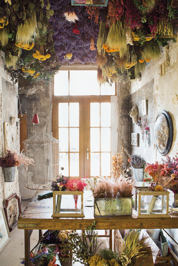 How To Care For Dried Flowers ? (Top Care Tips for Dried Flowers)